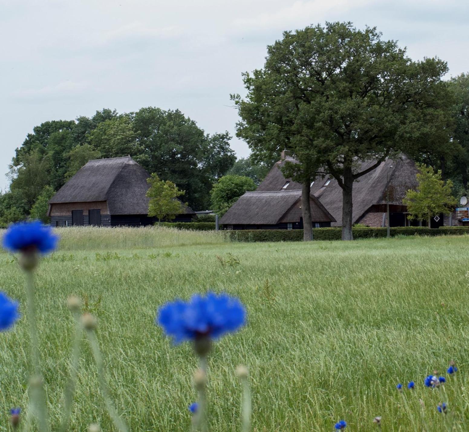 Gastenverblijf Lheederhof Lodge 3 Dwingeloo Dış mekan fotoğraf